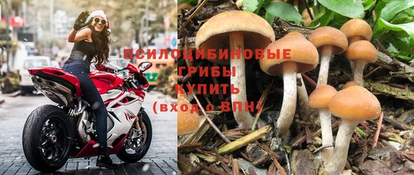 прущие крисы Верхний Тагил