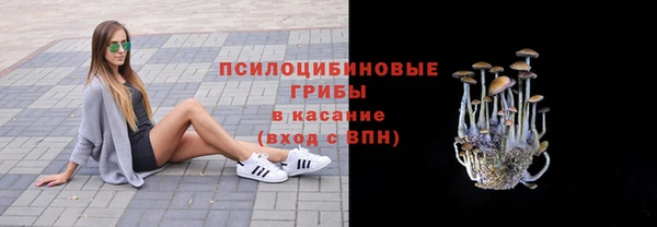 прущие крисы Верхний Тагил