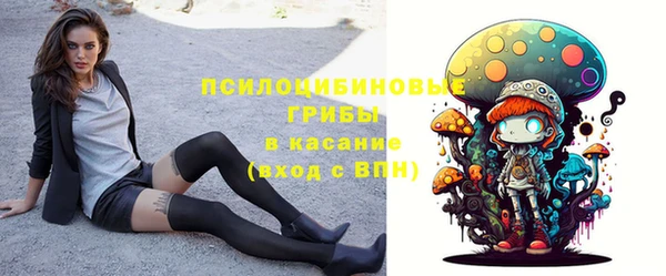 прущие крисы Верхний Тагил