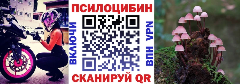 Псилоцибиновые грибы Magic Shrooms  Невель 